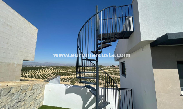 Sale - Villa - Algorfa - Comunidad valenciana