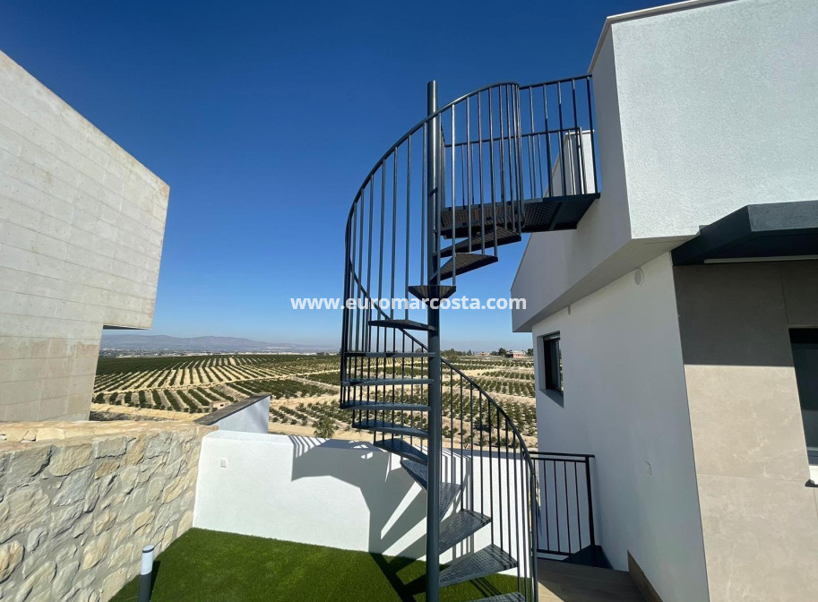 Sale - Villa - Algorfa - Comunidad valenciana