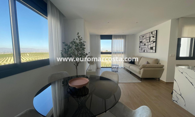 Sale - Villa - Algorfa - Comunidad valenciana