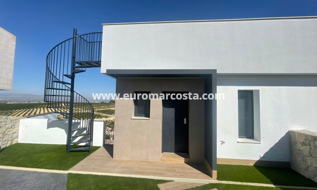 Sale - Villa - Algorfa - Comunidad valenciana