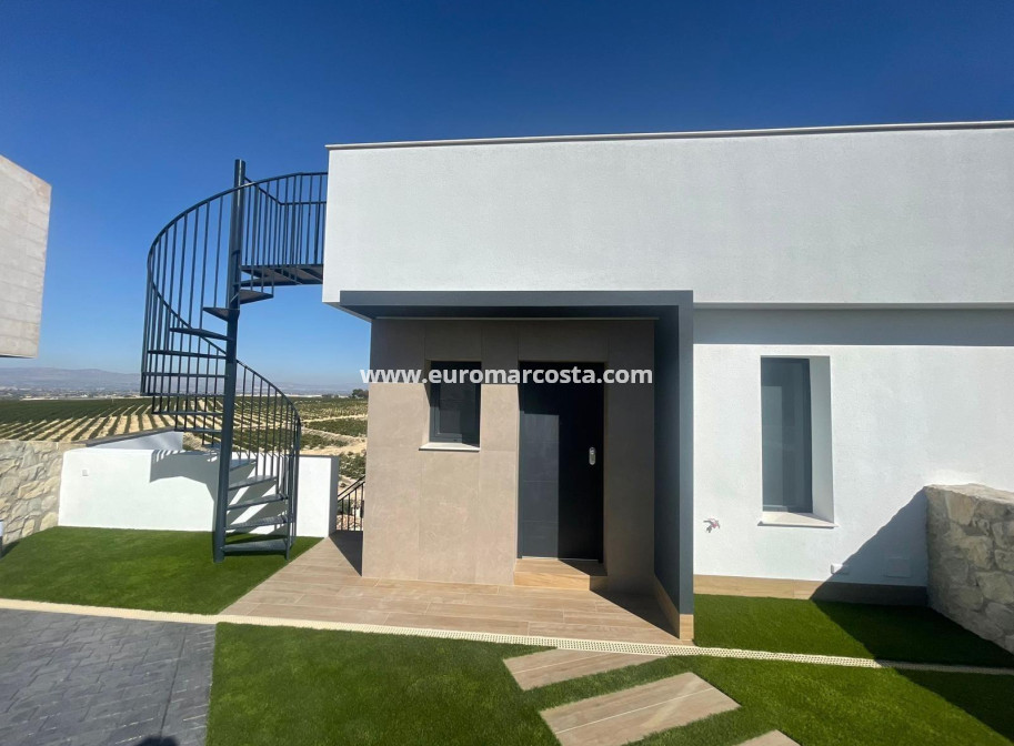 Sale - Villa - Algorfa - Comunidad valenciana