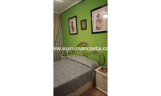 Sale - Apartment / flat - Torrevieja - TORREVIEJA