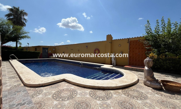 Sale - Villa - Dolores - Comunidad valenciana