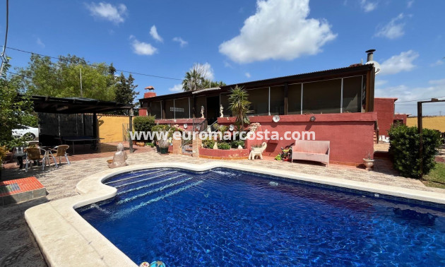 Sale - Villa - Dolores - Comunidad valenciana