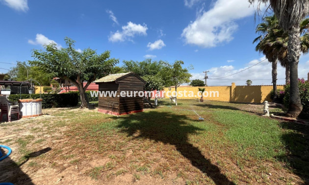 Sale - Villa - Dolores - Comunidad valenciana