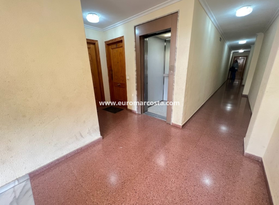 Sale - Apartment / flat - Los Montesinos