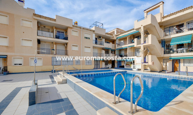 Objekte zum Wiederverkauf - Wohnung - Torrevieja - TORREVIEJA