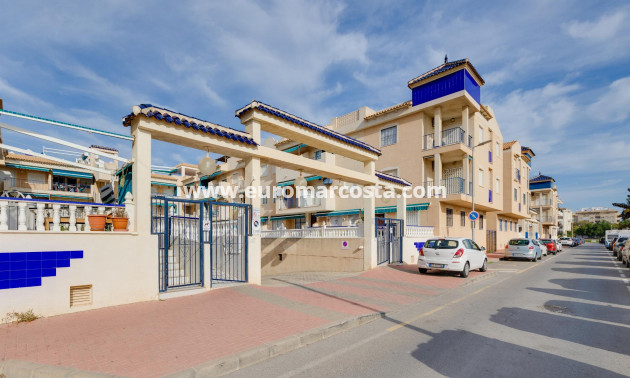 Objekte zum Wiederverkauf - Wohnung - Torrevieja - TORREVIEJA