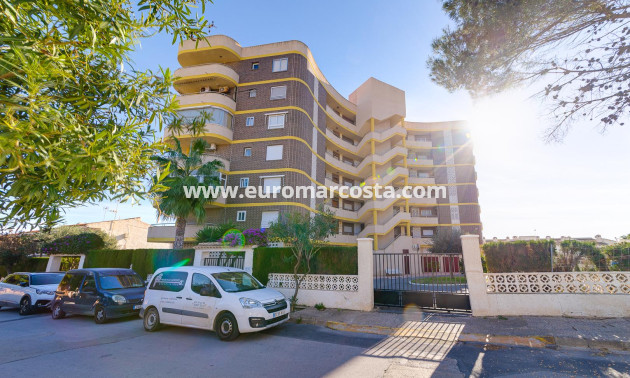 Sale - Apartment / flat - Orihuela Costa - La Zenia- Orihuela costa