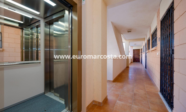 Venta - Apartamento / piso - Pilar de la Horadada