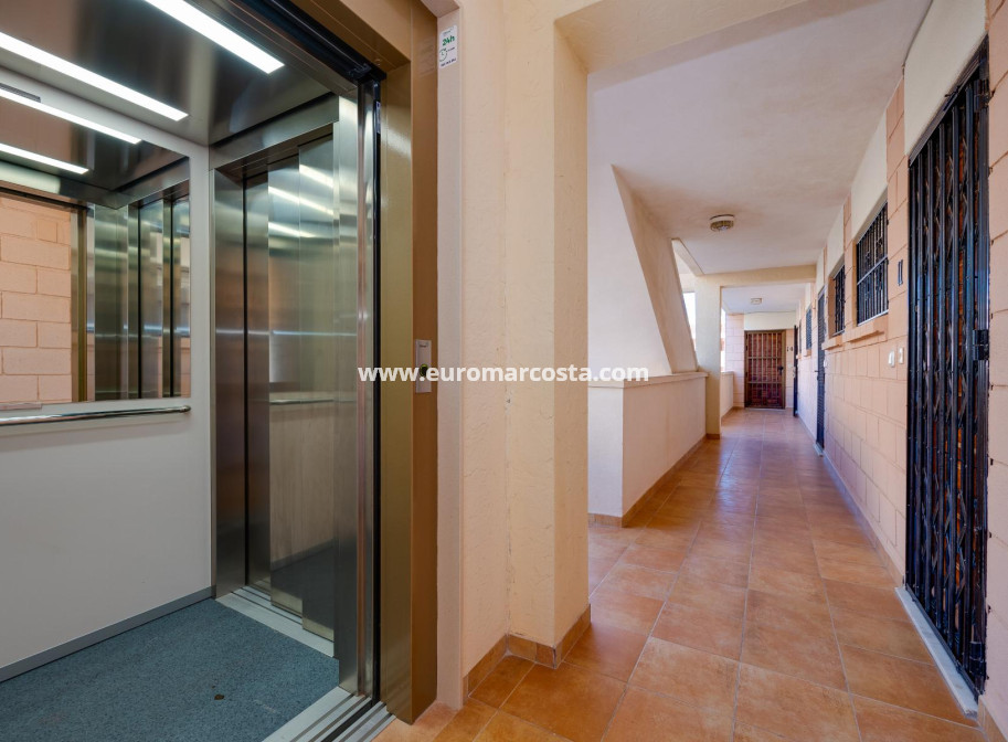 Venta - Apartamento / piso - Pilar de la Horadada