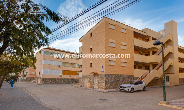 Venta - Apartamento / piso - Pilar de la Horadada