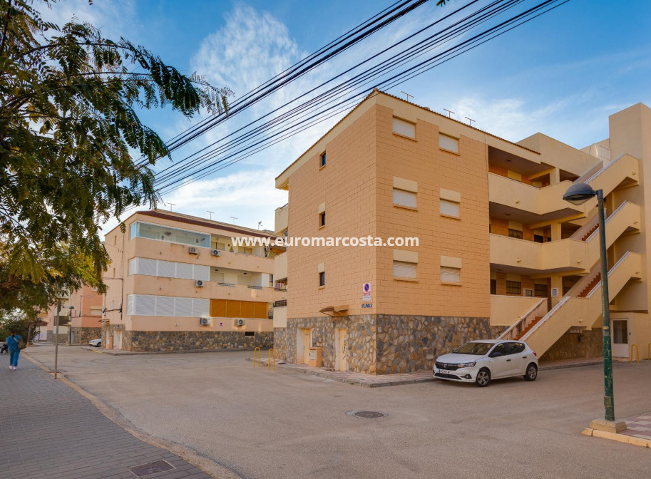 Venta - Apartamento / piso - Pilar de la Horadada