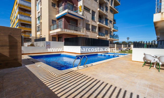 Venta - Apartamento / piso - Torrevieja - TORREVIEJA