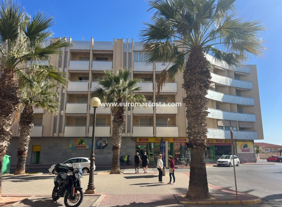 Sale - Apartment / flat - Guardamar del Segura