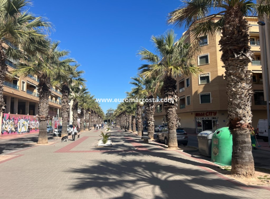 Sale - Apartment / flat - Guardamar del Segura