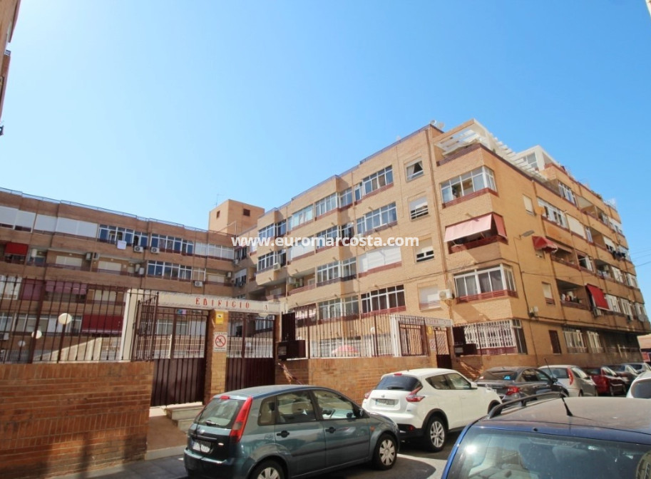 Venta - Estudio - Torrevieja