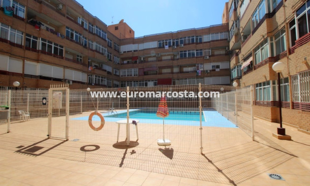 Venta - Estudio - Torrevieja