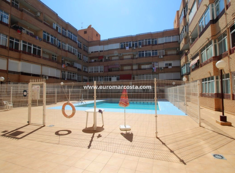 Venta - Estudio - Torrevieja