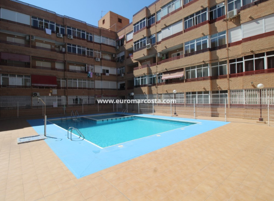 Venta - Estudio - Torrevieja