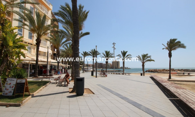 Venta - Estudio - Torrevieja