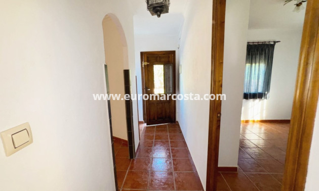 Sale - Finca - Fortuna