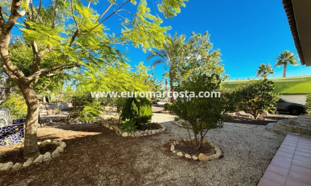 Sale - Finca - Fortuna