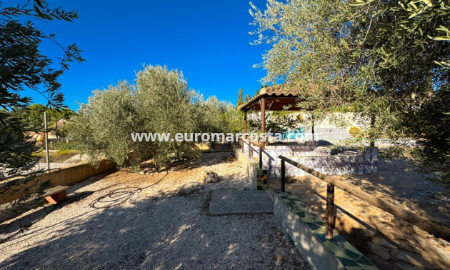 Sale - Finca - Fortuna