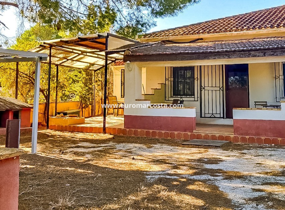 Sale - Finca - Fortuna