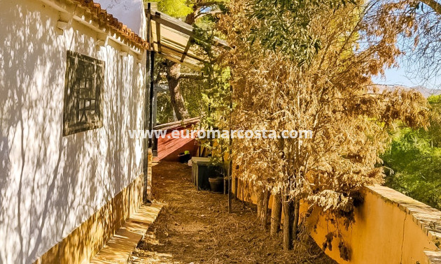 Sale - Finca - Fortuna