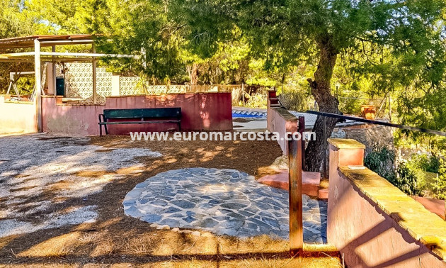 Sale - Finca - Fortuna