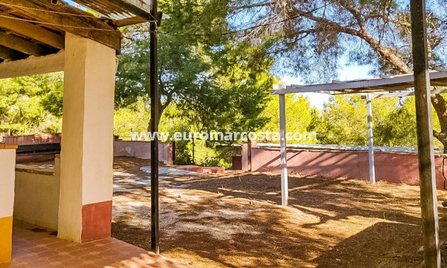 Sale - Finca - Fortuna