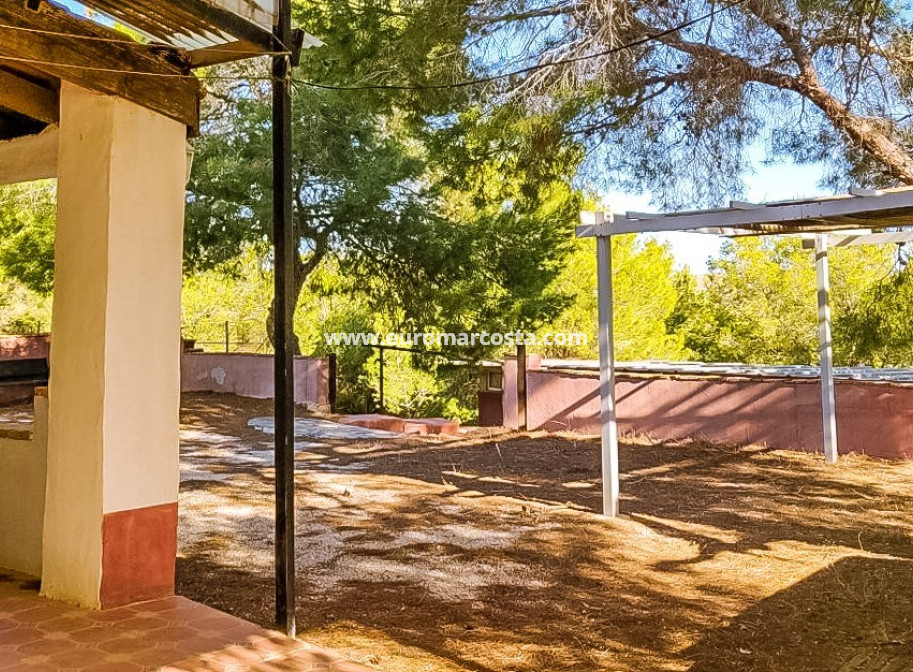 Sale - Finca - Fortuna