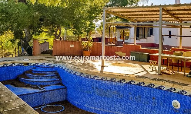 Sale - Finca - Fortuna