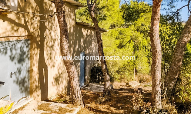 Sale - Finca - Fortuna