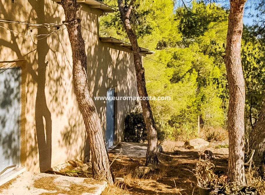 Sale - Finca - Fortuna