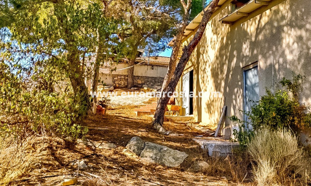 Sale - Finca - Fortuna