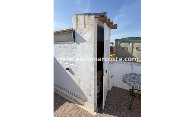 Venta - Adosado - Torrevieja - TORREVIEJA