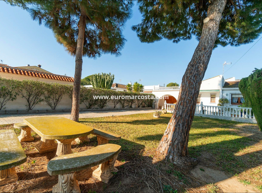 Venta - Villa - Torrevieja - TORREVIEJA