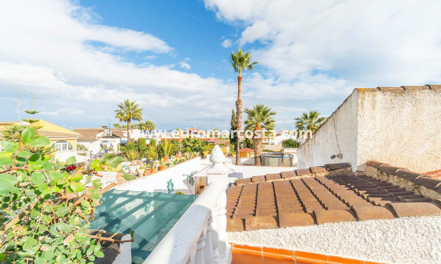 Venta - Villa - Torrevieja - TORREVIEJA