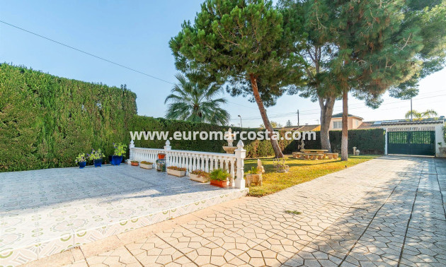 Venta - Villa - Torrevieja - TORREVIEJA