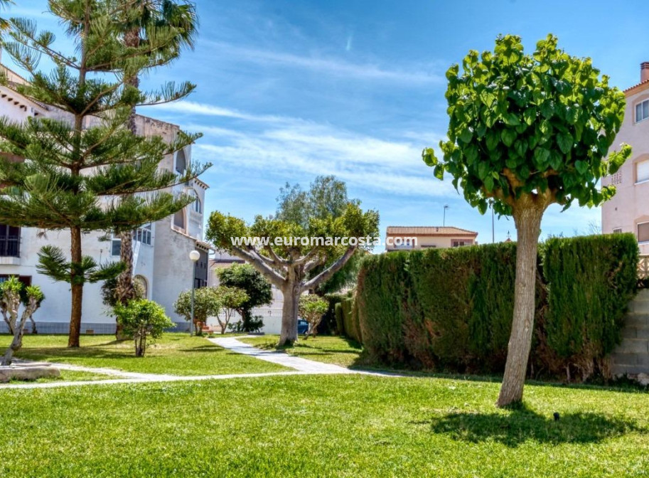 Objekte zum Wiederverkauf - Villa freitstehend - Torrevieja - Calas blanca