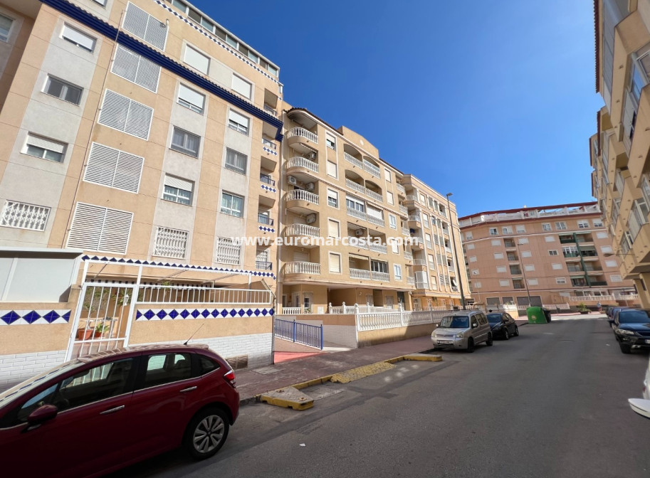 Venta - Apartamento / piso - Guardamar del Segura