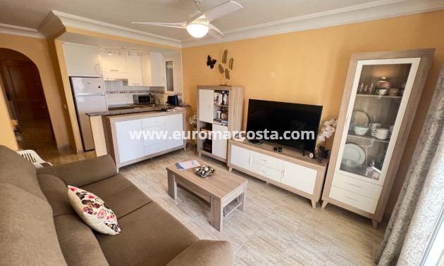 Sale - Apartment / flat - Guardamar del Segura