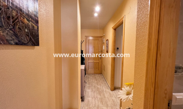 Venta - Apartamento / piso - Guardamar del Segura