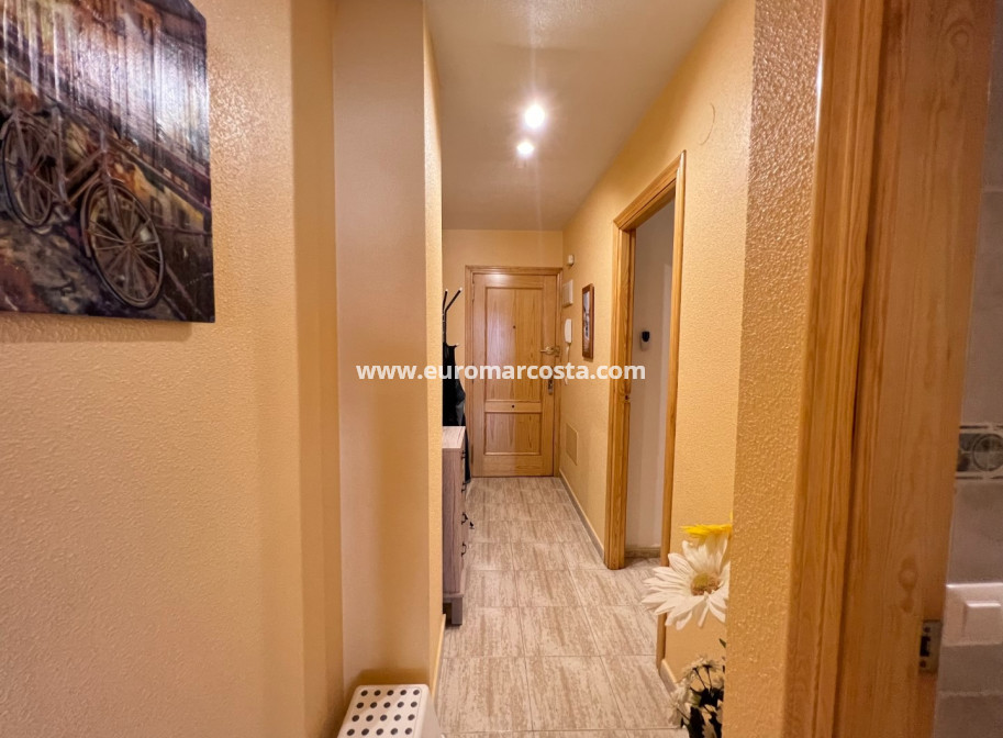 Sale - Apartment / flat - Guardamar del Segura