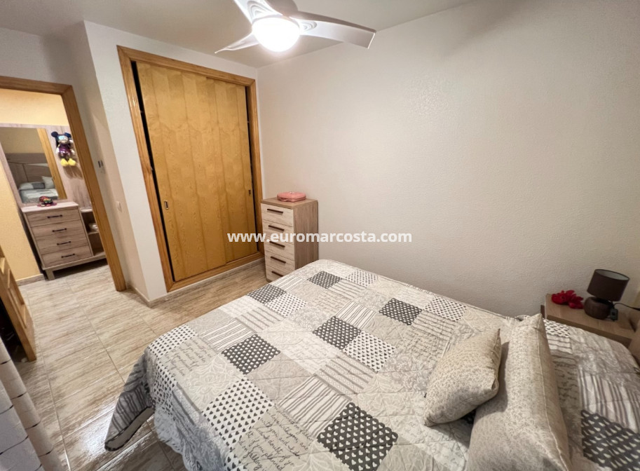 Venta - Apartamento / piso - Guardamar del Segura