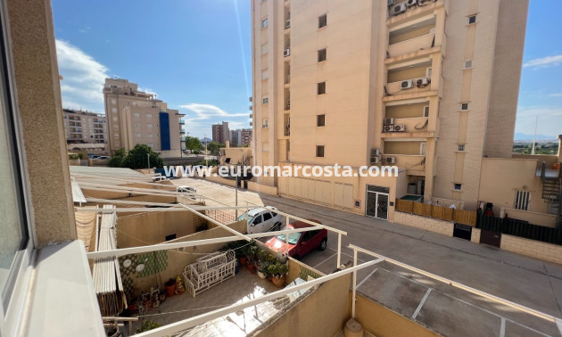 Venta - Apartamento / piso - Guardamar del Segura