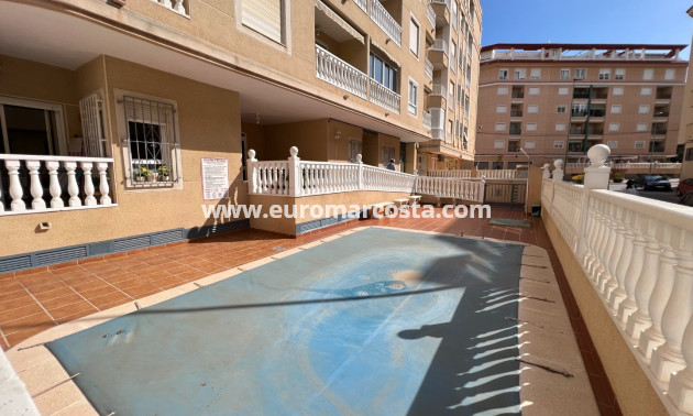 Venta - Apartamento / piso - Guardamar del Segura