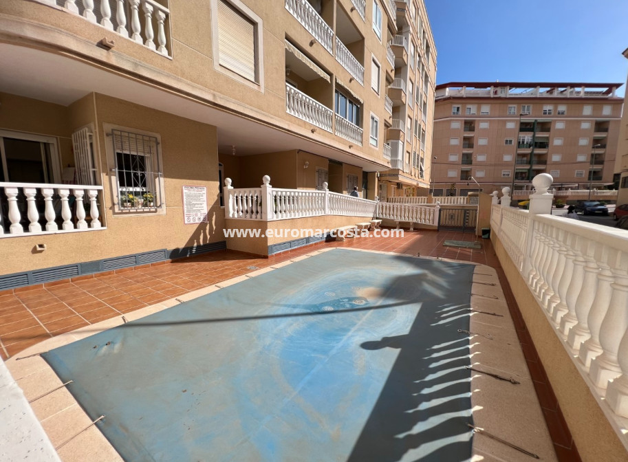 Venta - Apartamento / piso - Guardamar del Segura